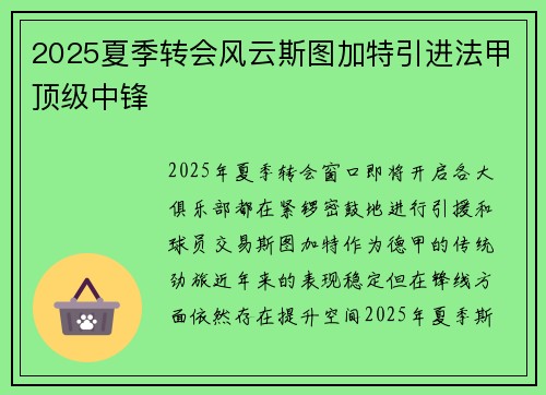 2025夏季转会风云斯图加特引进法甲顶级中锋