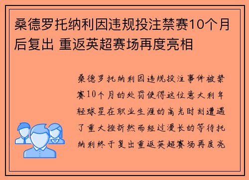 桑德罗托纳利因违规投注禁赛10个月后复出 重返英超赛场再度亮相