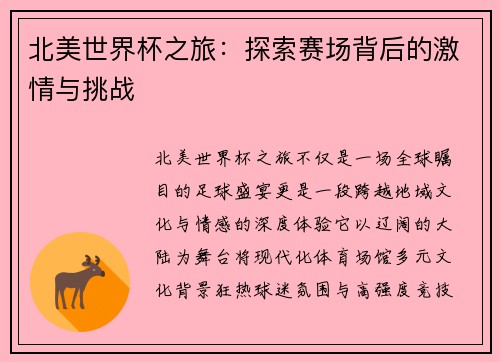 北美世界杯之旅：探索赛场背后的激情与挑战
